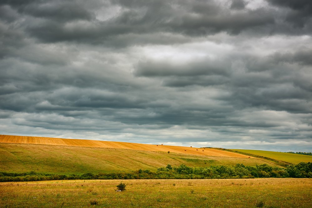 Photograph by Алексей Вольтов