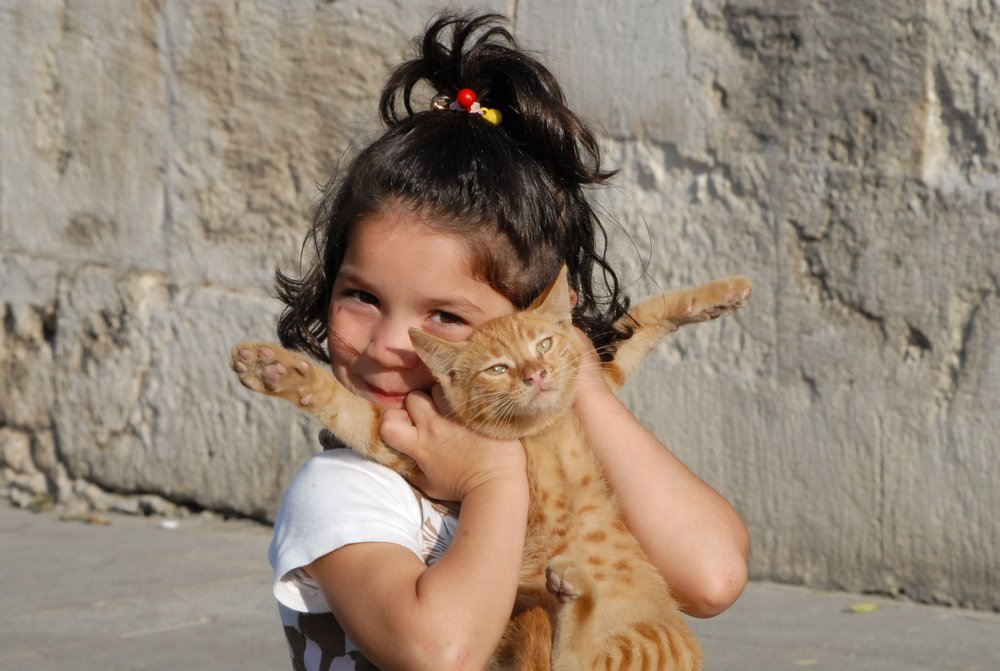 Photograph by Gülşen  Mutlu