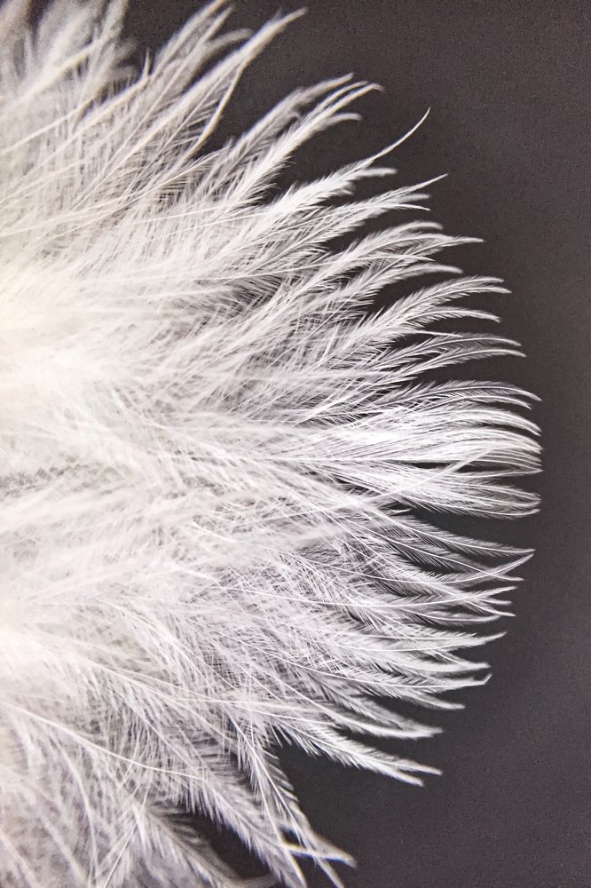 Photograph by Алена Царицына