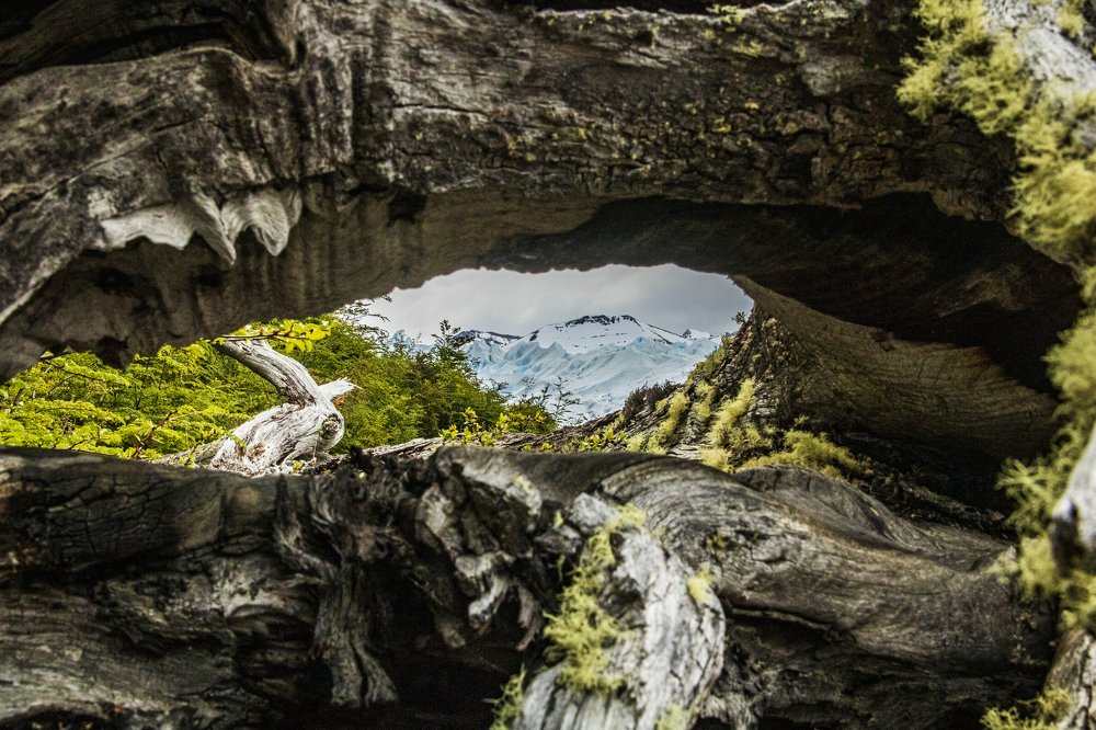 Photograph by Joice Kreiss