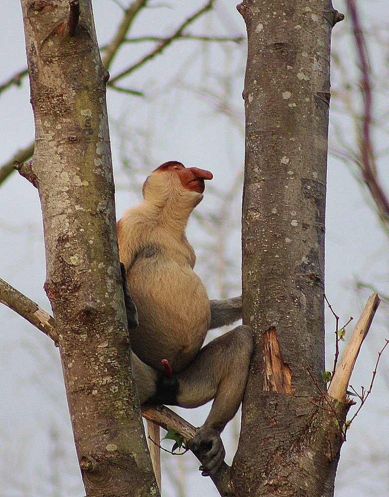 Photograph by Deirdre Julius Kulip