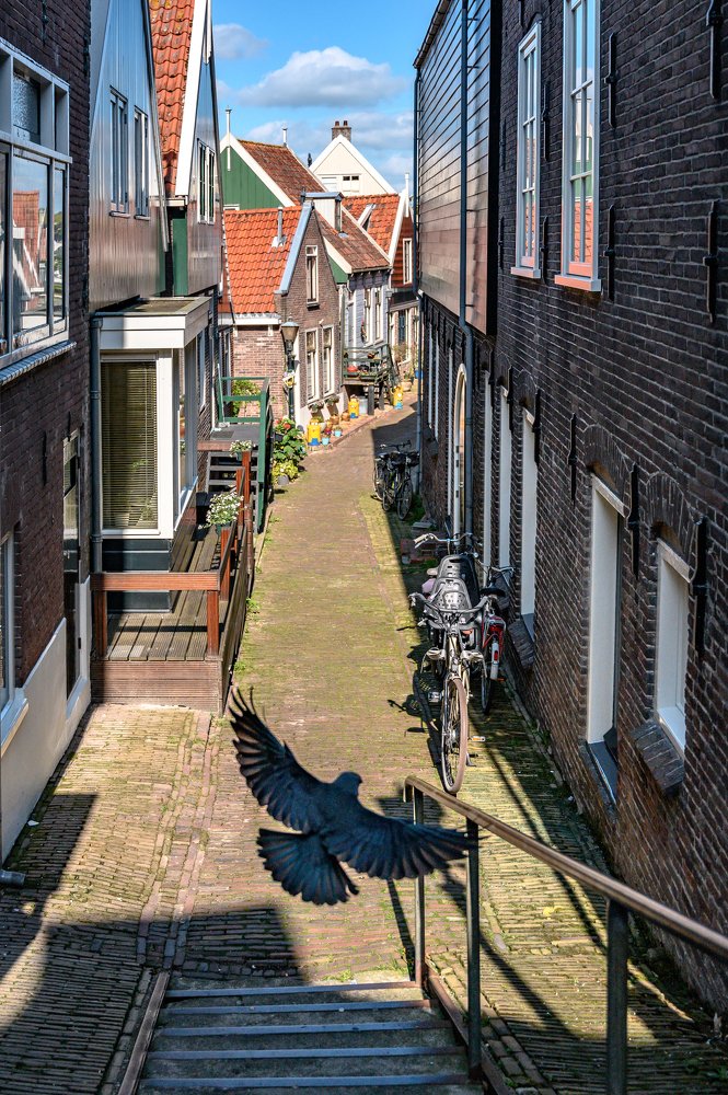 Photograph by Юрий Бершадский