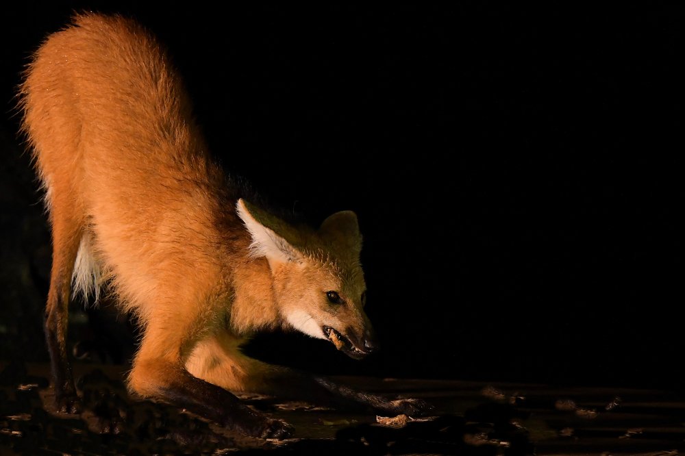 Photograph by Александр Маркелов