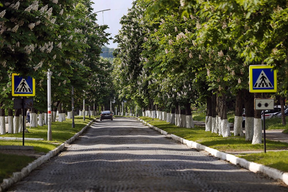 Фотография автора Victor Sacaliuc