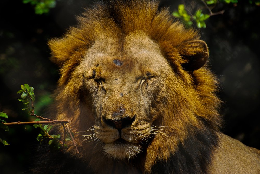 Photograph by christopher satish