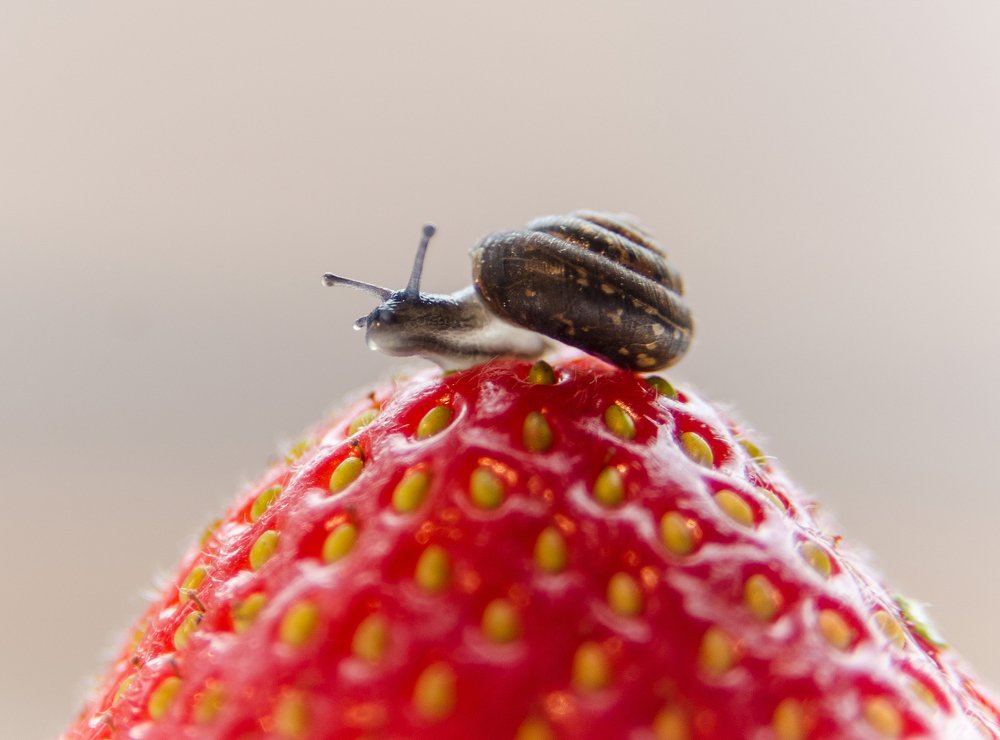 Фотография автора Юрий Макаров