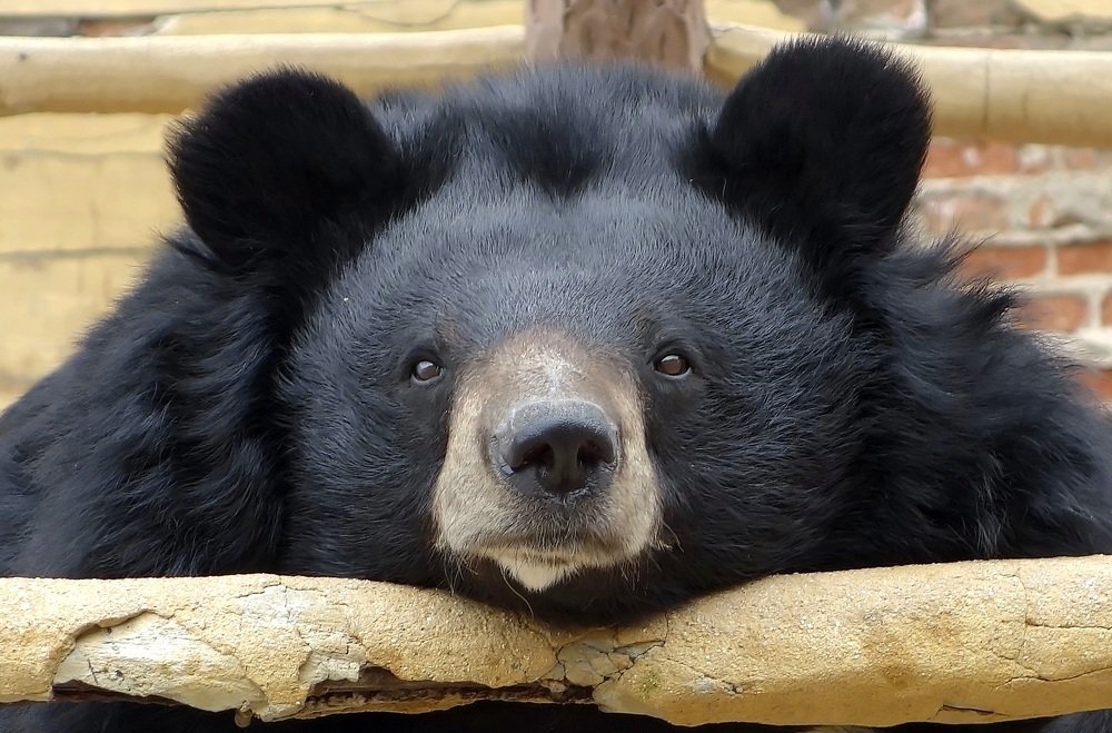 Давайте знакомиться)))