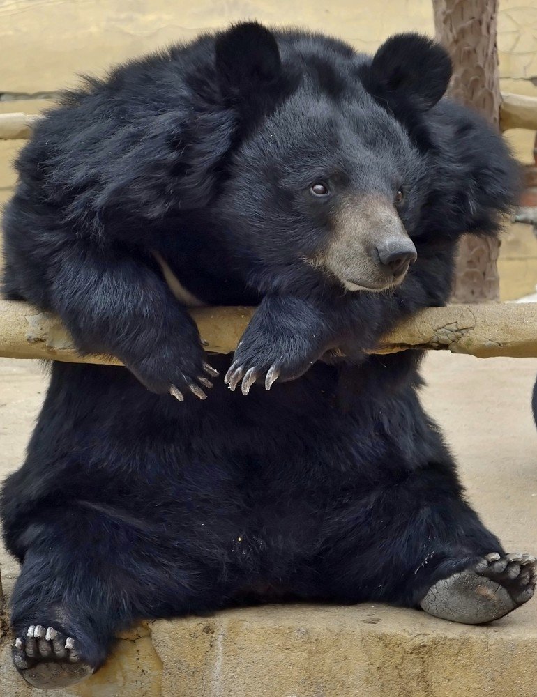 Дело было вечером, делать было нечего...