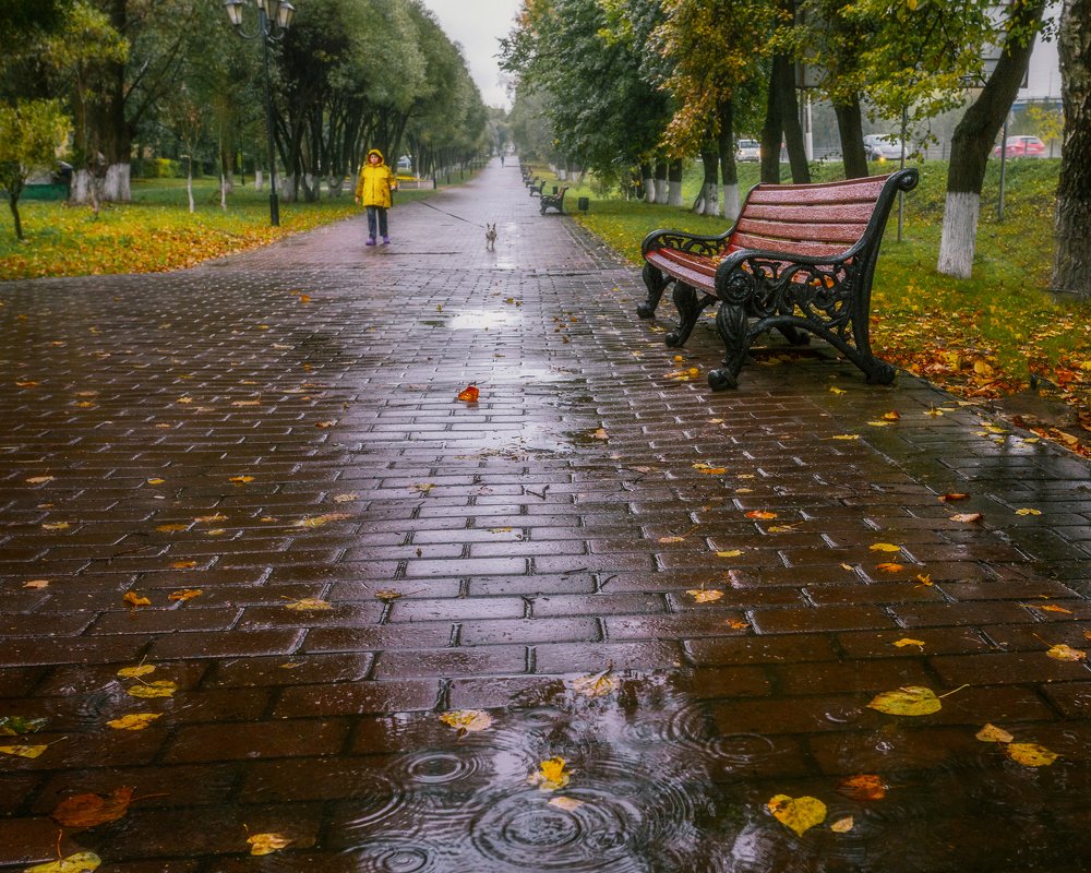 Фотография автора Мартыненко Дмитрий