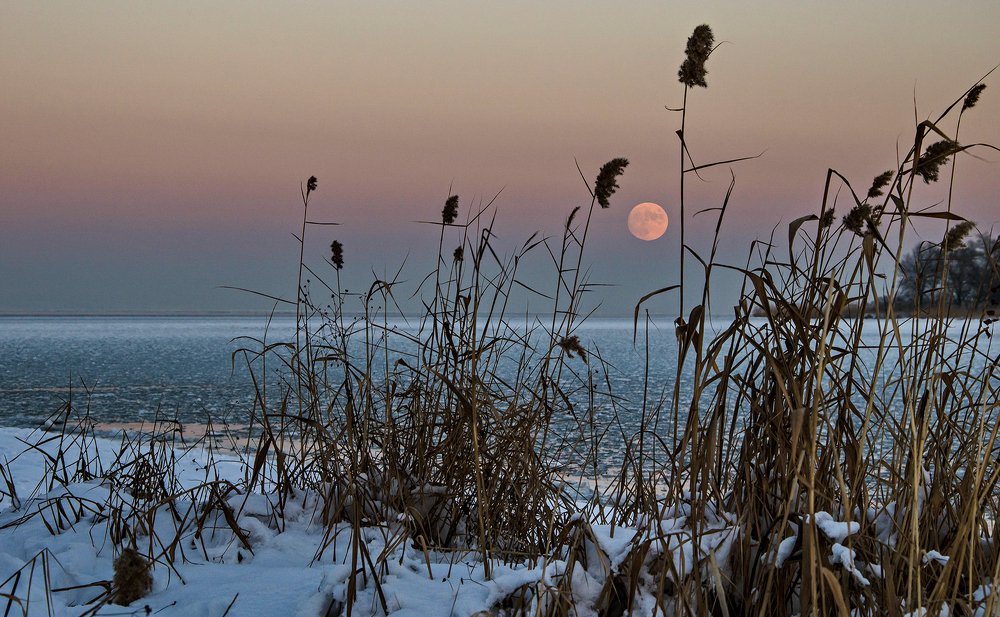 Зимний сюжет с полной Луной
