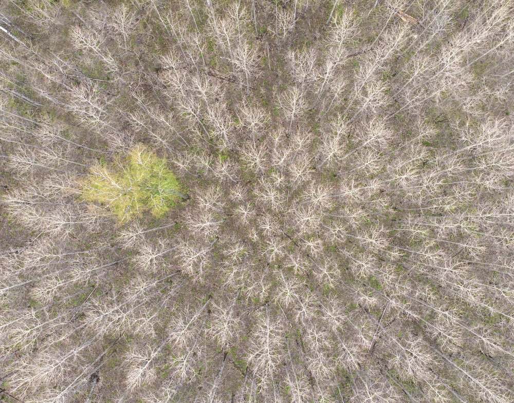 Фотография автора Андрей Логвинович