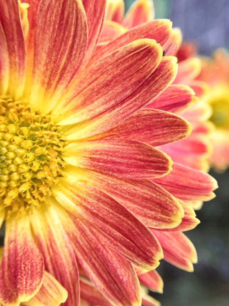 Photograph by Алена Царицына