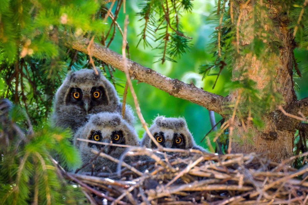 Photograph by Дмитрий Шерстнев