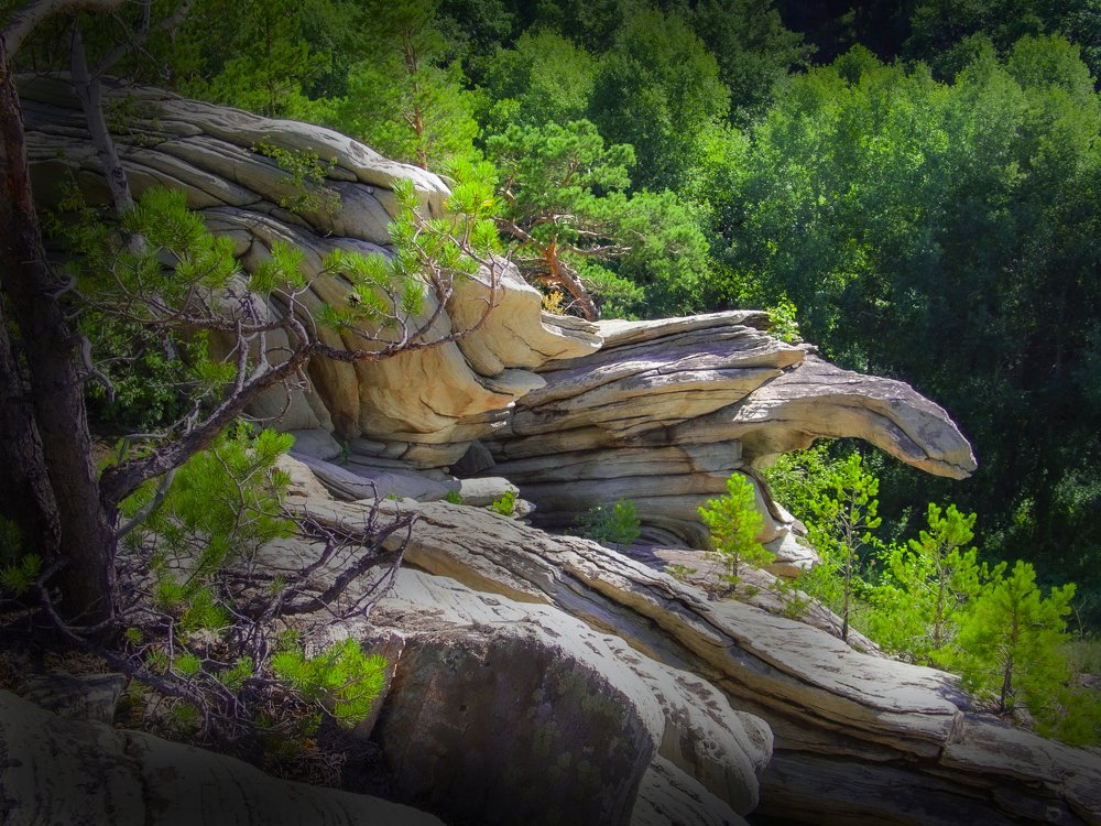 Photograph by петр чиков