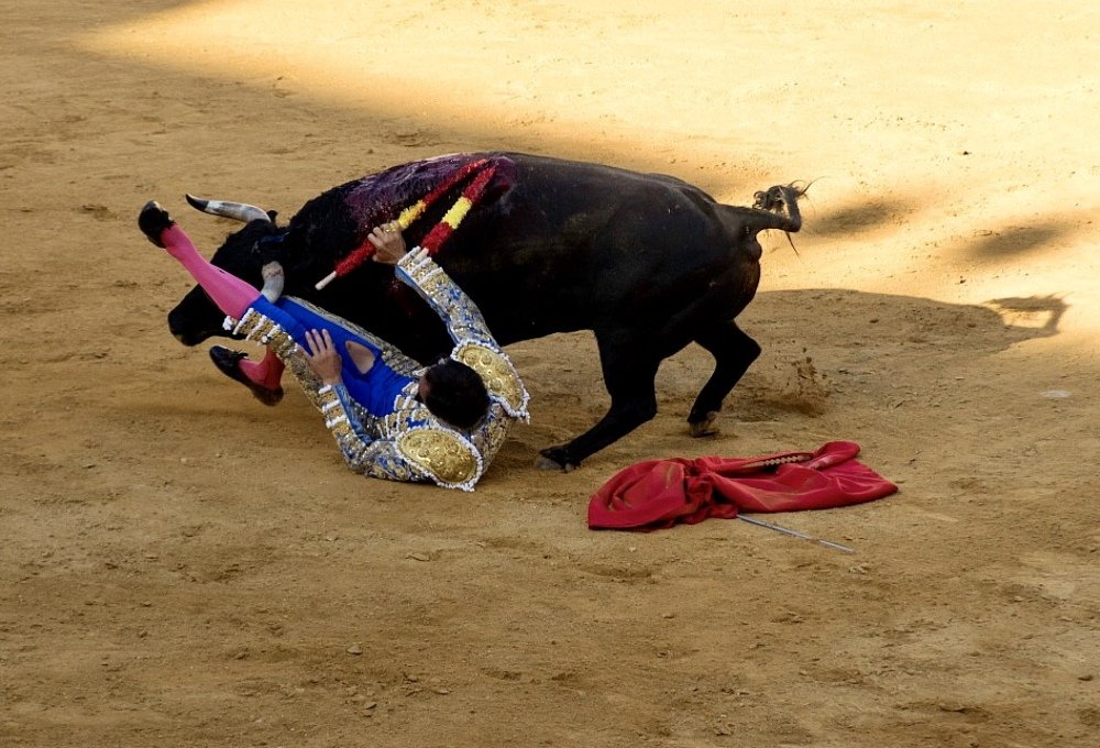 Photograph by Дмитрий Шерстнев