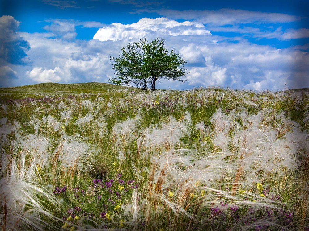 Photograph by петр чиков