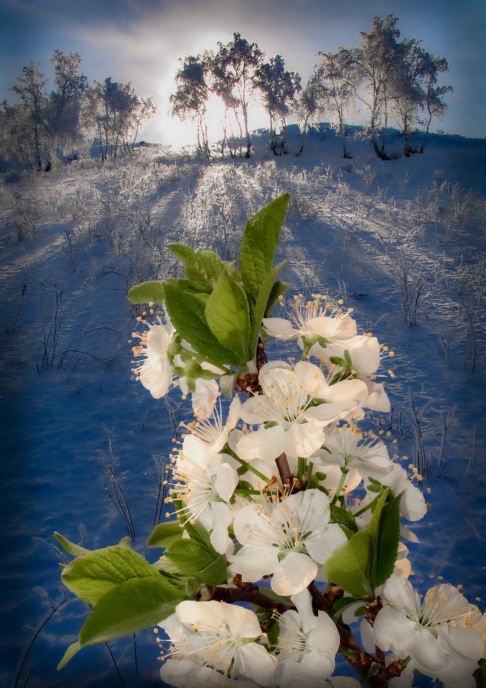 Photograph by петр чиков