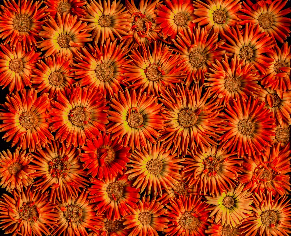 Photograph by петр чиков