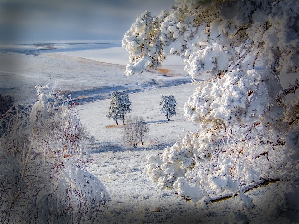 Photograph by петр чиков