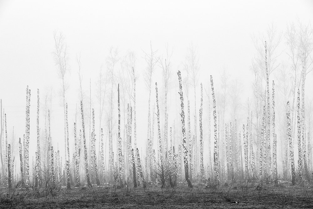 Фотография автора Юрий Сорокин