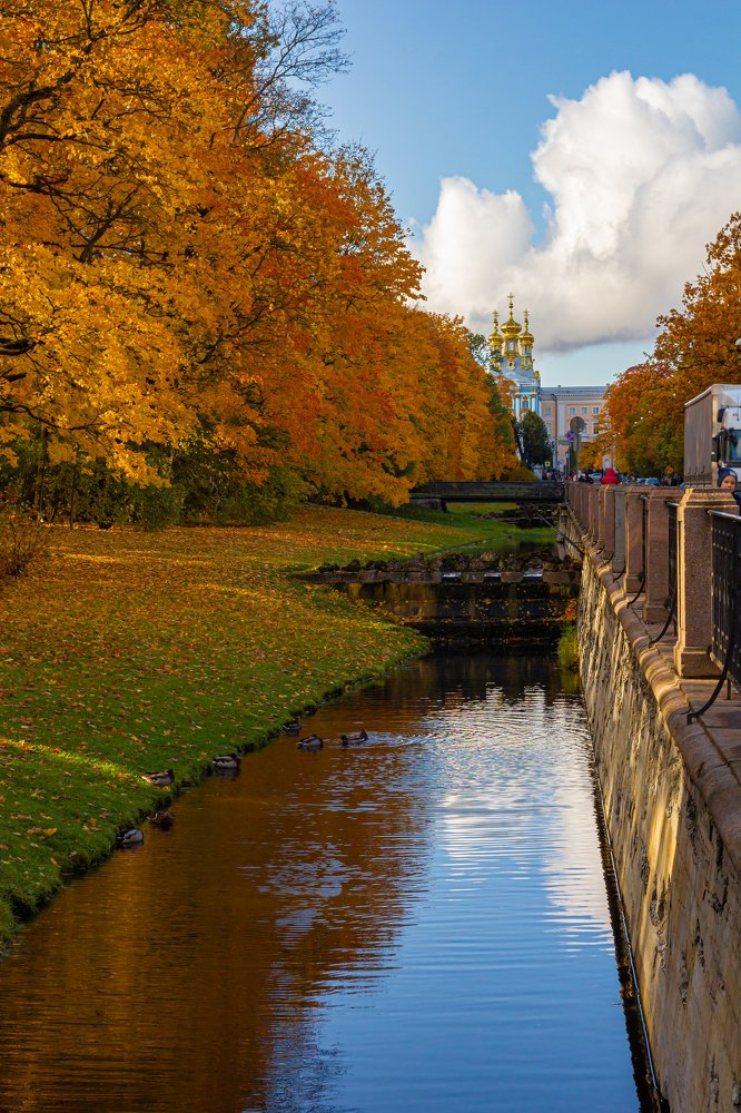 Photograph by Дмитрий Чудинин