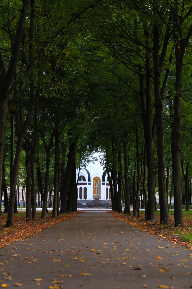 Photograph by Дмитрий Чудинин