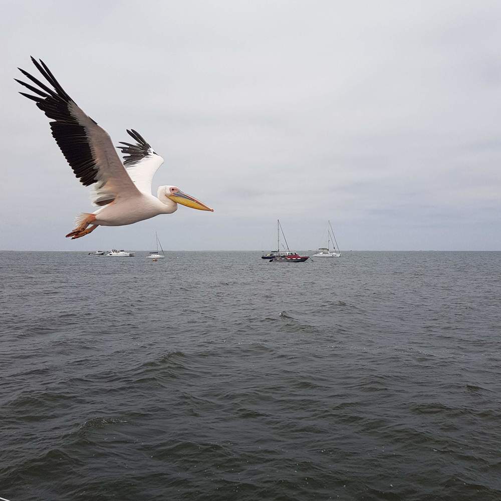 Photograph by Olga Chichibaba