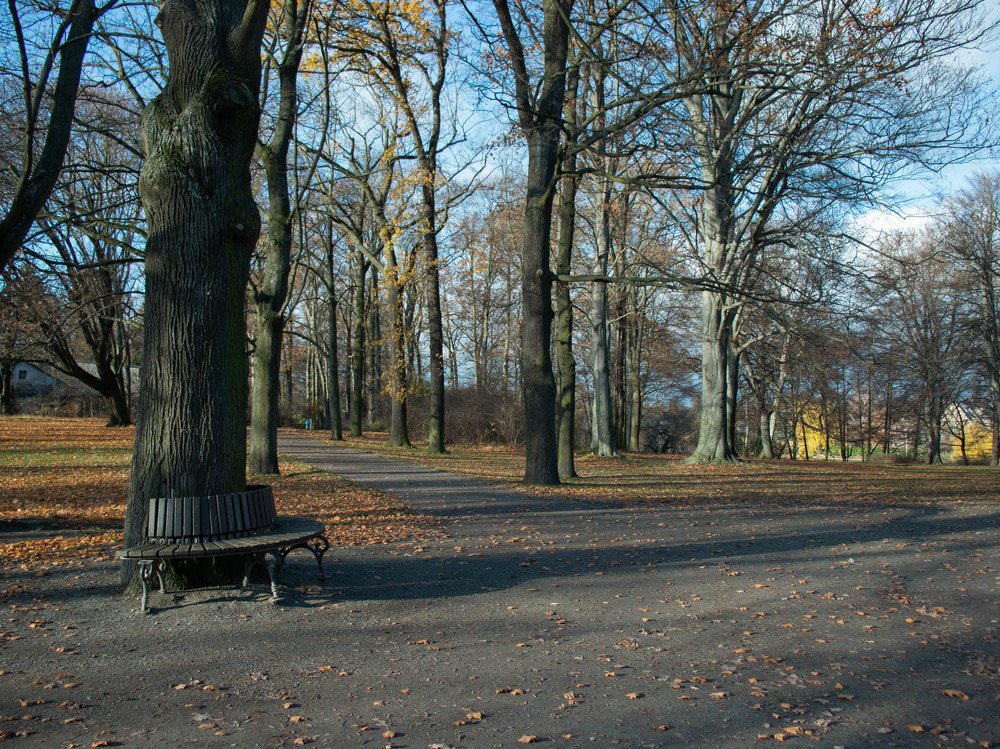 Photograph by Stanislav Zaytsev