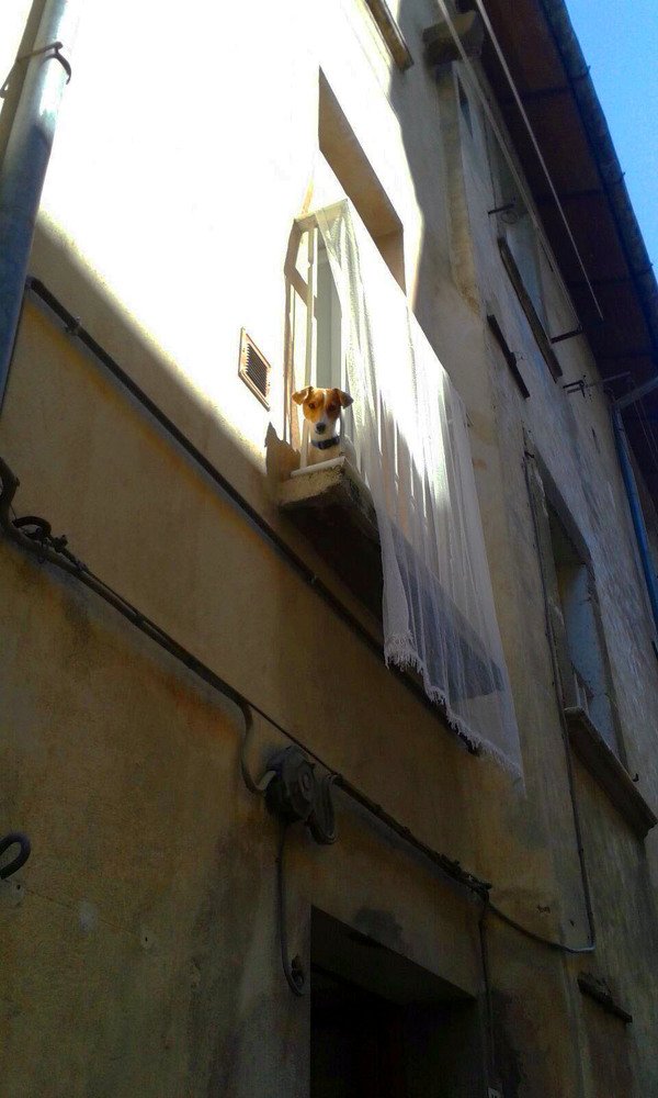 Случайная встреча