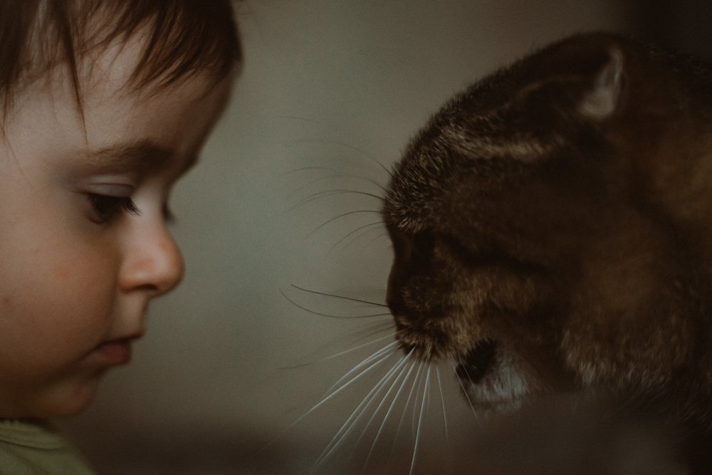 Photograph by Ольга Капустина