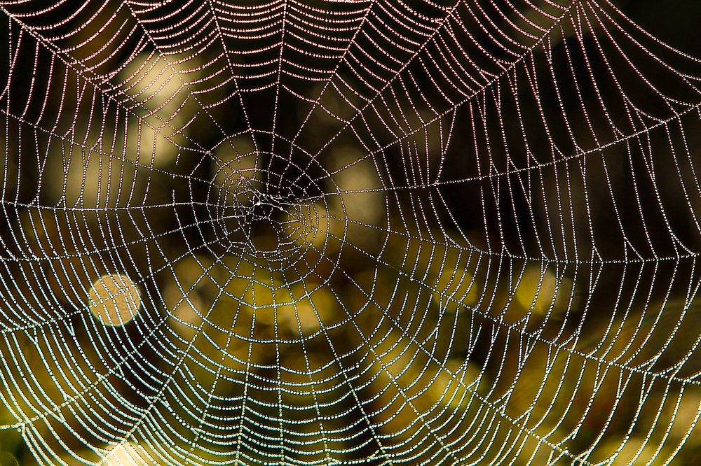 Photograph by Sergey Uskov