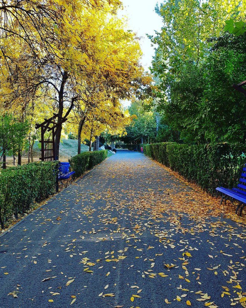 Photograph by Florentina-Adriana Vasilescu