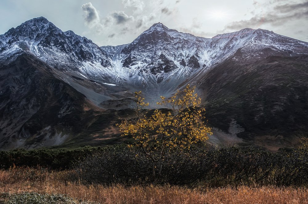 Photograph by Алексей Юницын