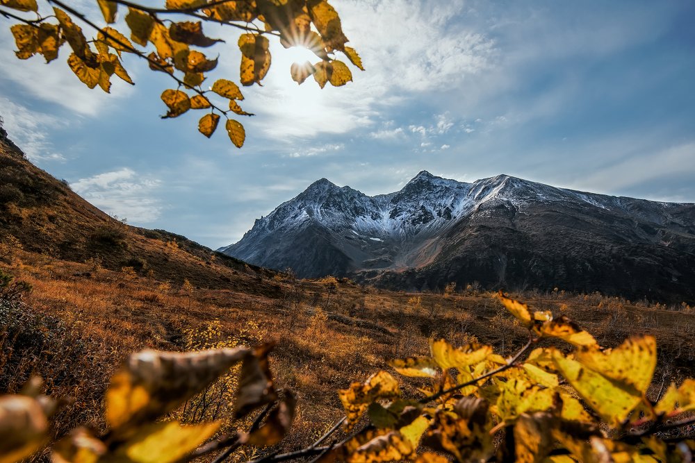 Photograph by Алексей Юницын