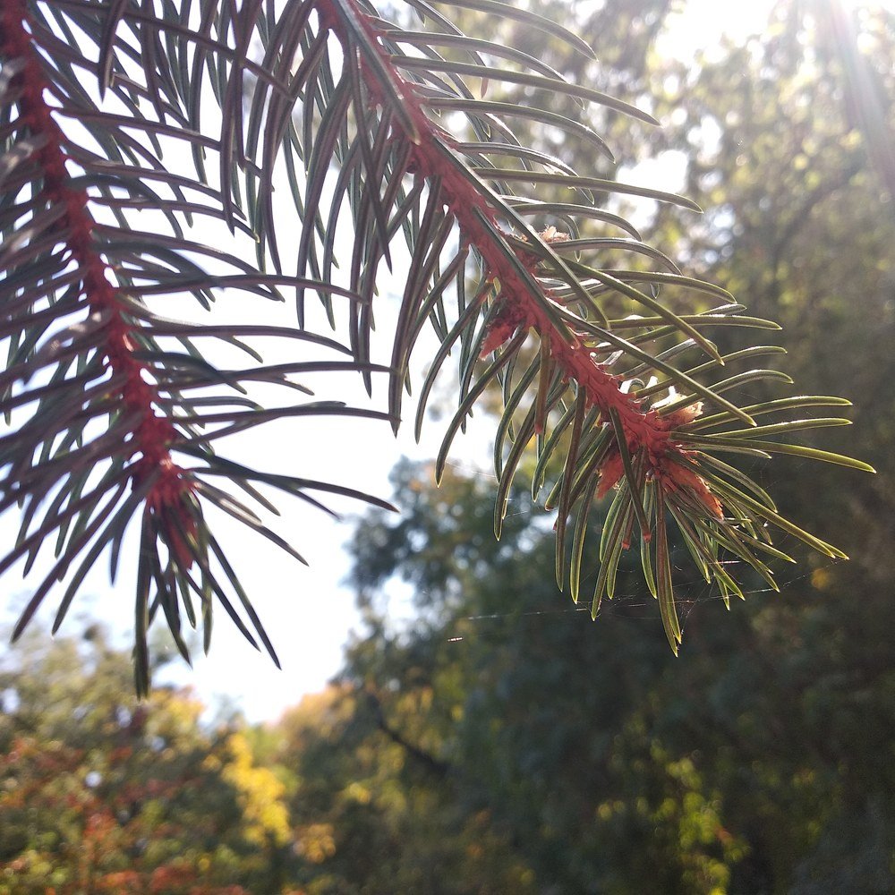 Photograph by Регина Орехова