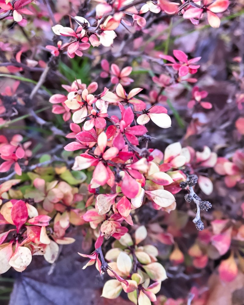 Photograph by Алена Царицына