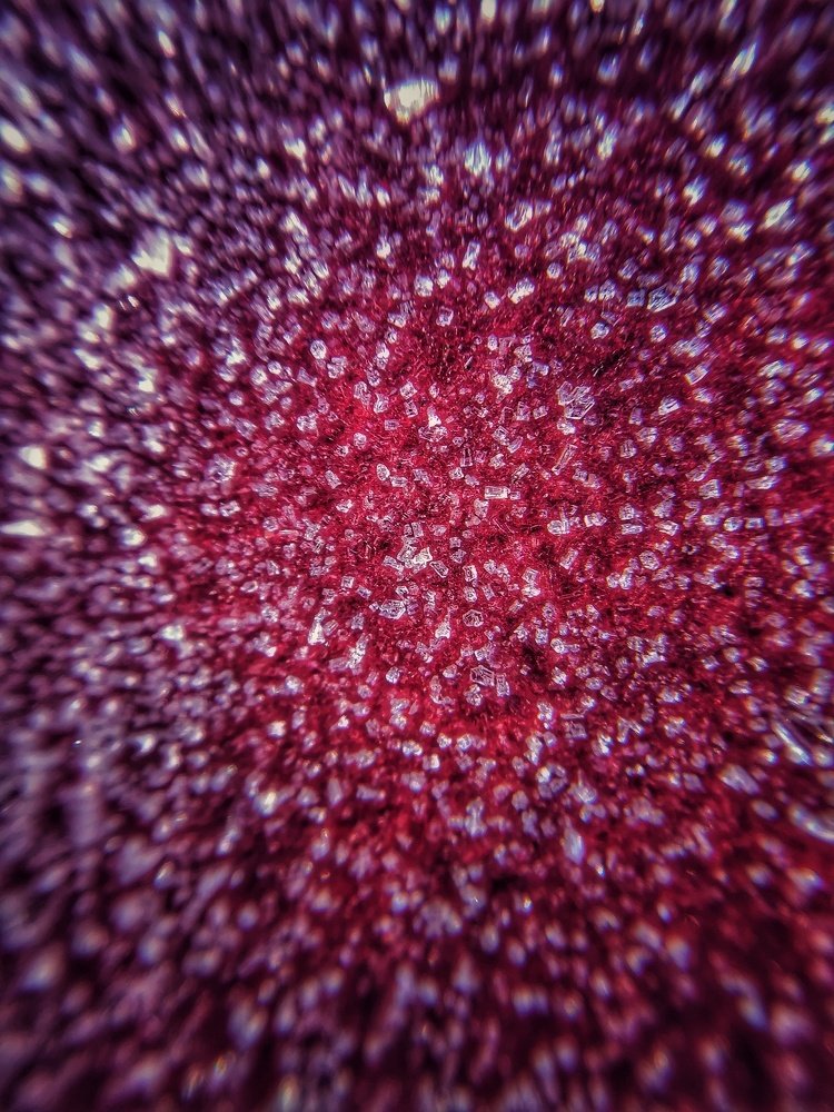 Photograph by Ekaterina Fadeeva