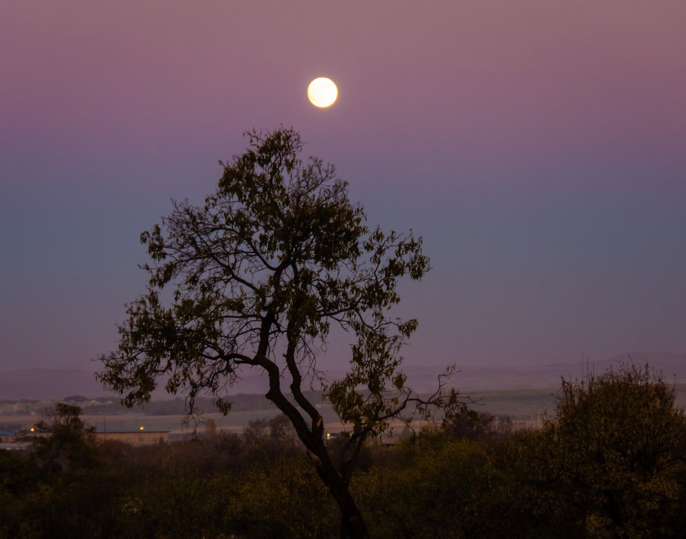 Photograph by Bahrami Ashkan