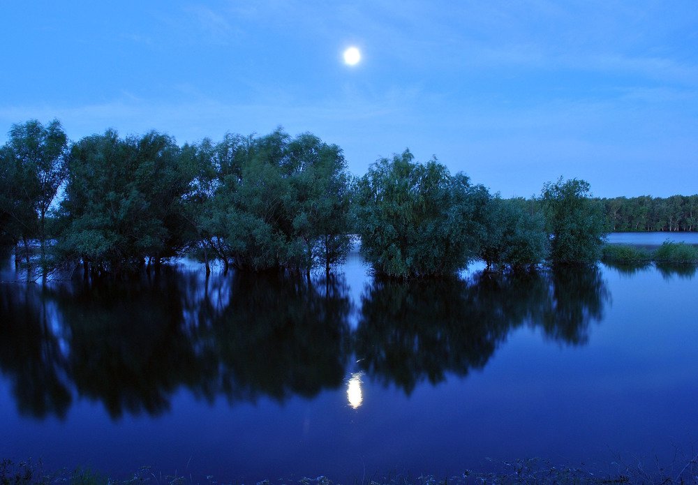 Photograph by Александр Касаткин