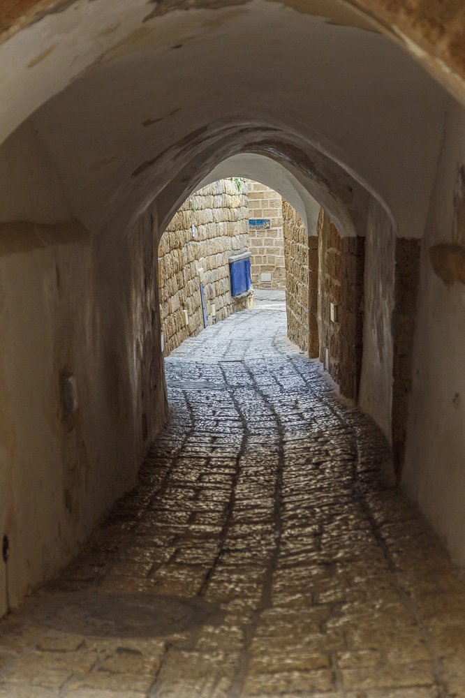 Photograph by Артем Талмаза