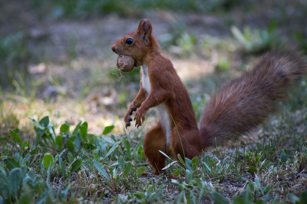 Photograph by Артем Талмаза