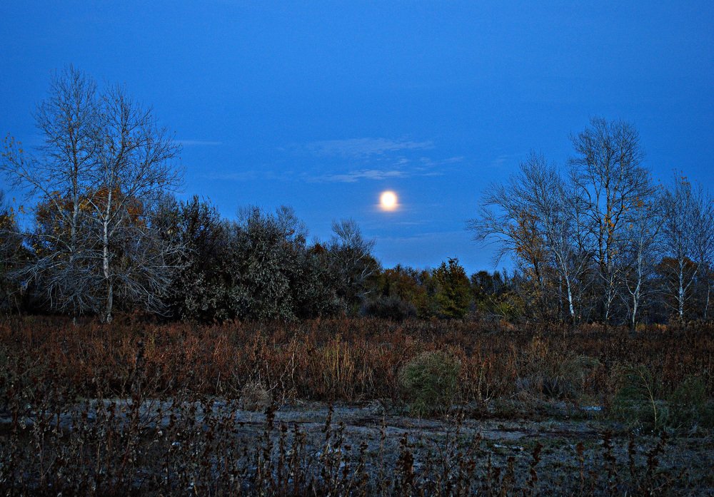 Photograph by Александр Касаткин