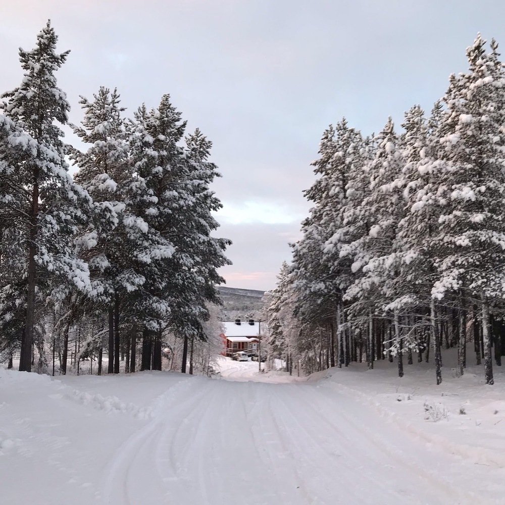 Photograph by Максим Рощин