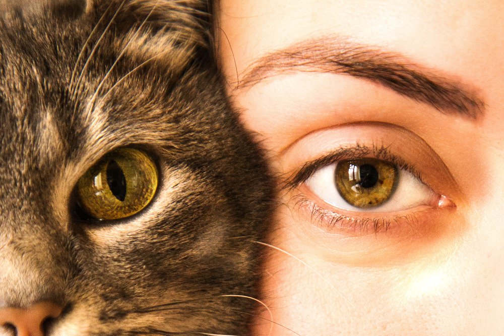 Photograph by Артем Талмаза