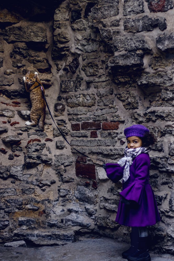 Photograph by Sandra Ko