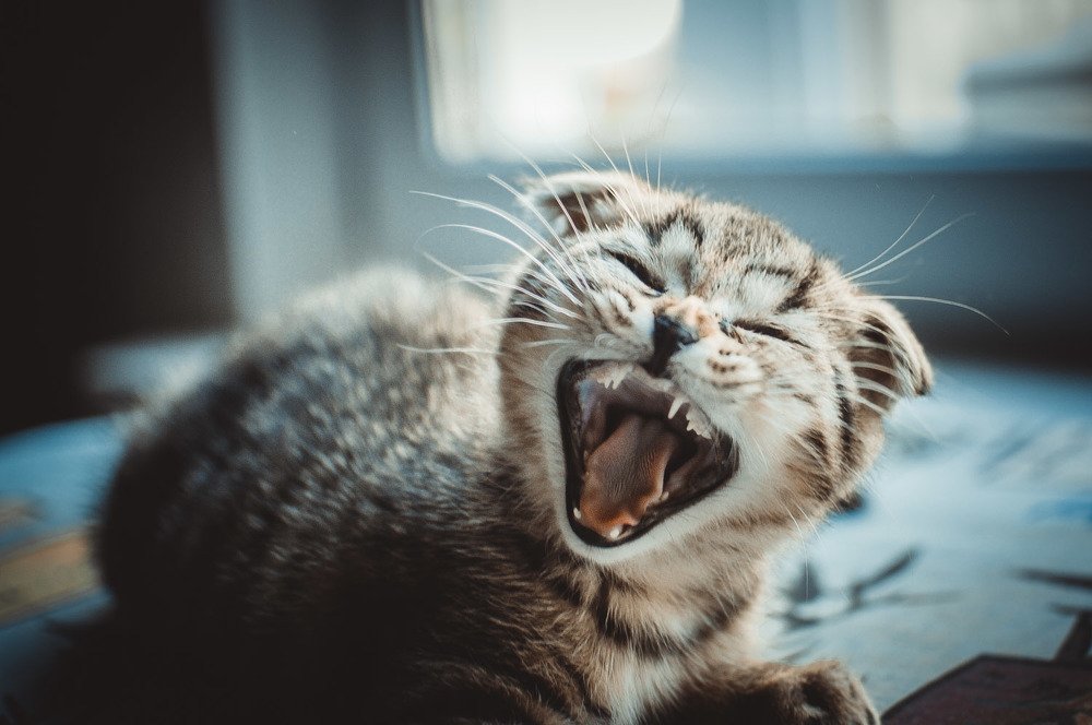 Photograph by Ольга Капустина