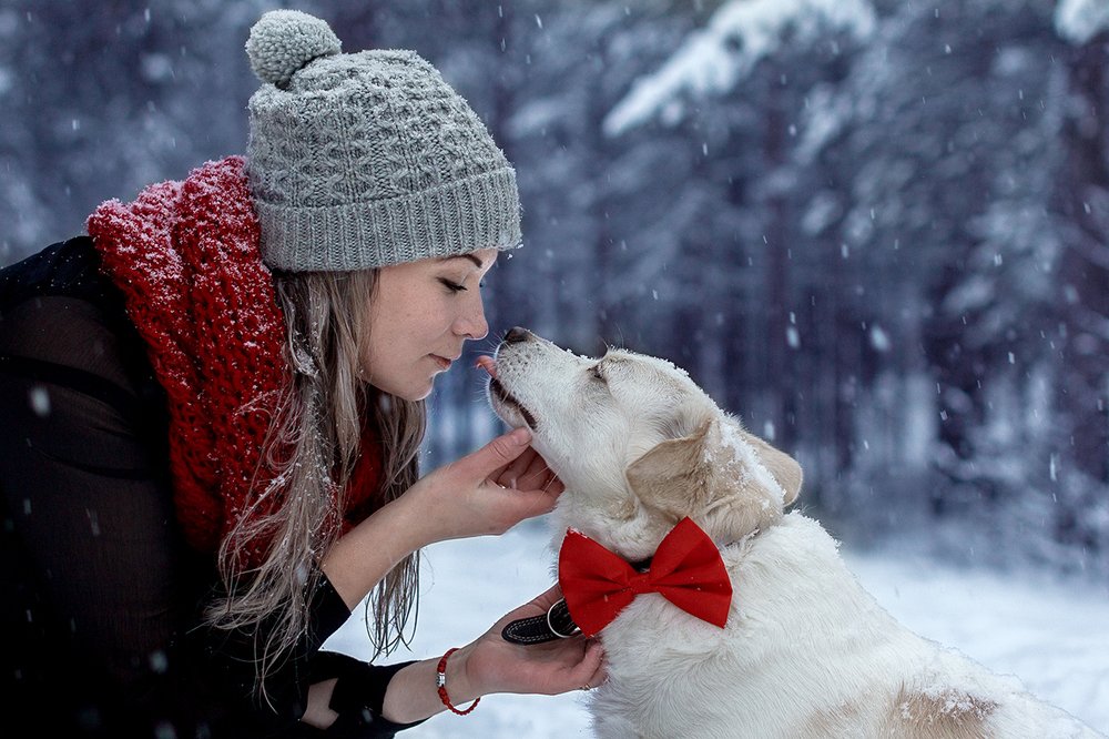 Photograph by Евгения Немчнова