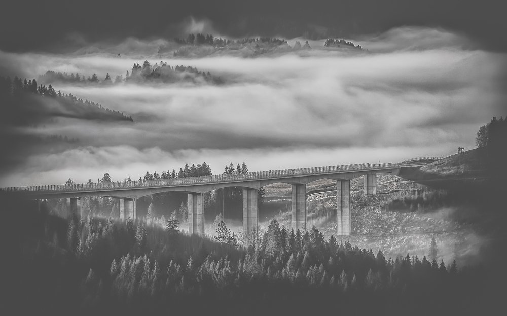 Photograph by Janusz Wodyński