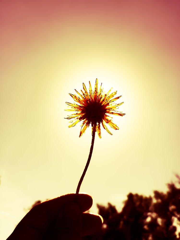 Photograph by Светлана Шибаршина