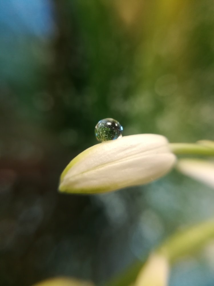 Photograph by Светлана Шибаршина